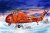 Trumpeter-02886 (5).jpg