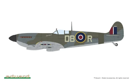 eduard-8288-spitfire-IXe (4).jpg