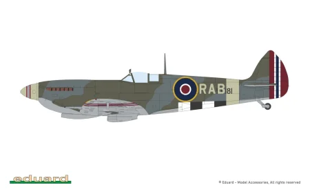eduard-8288-spitfire-IXe (5).jpg