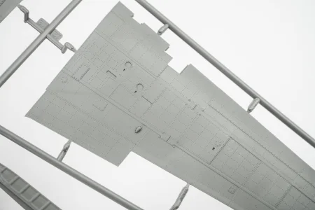 border-bf-006 (2).jpg