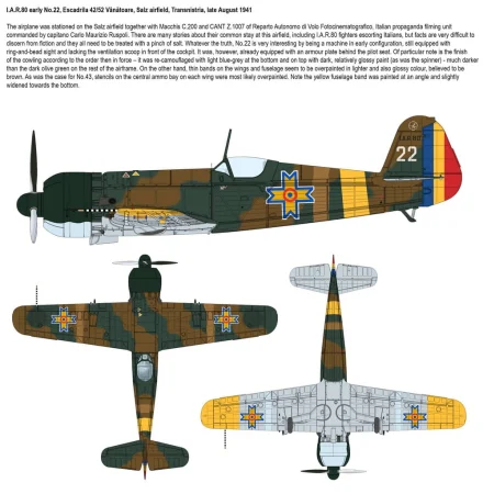 ibg-72565 (23).jpg