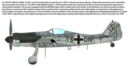 ibg-72562-camo (1).jpg