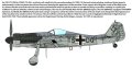 ibg-72562-camo (2).jpg