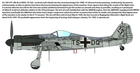ibg-72562-camo (2).jpg
