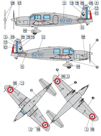 dora-wings-48030 (5).jpg