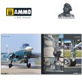 ammo-DH029-sukhoi-su-34-fullback (3).jpg