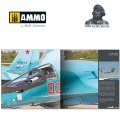 ammo-DH029-sukhoi-su-34-fullback (6).jpg