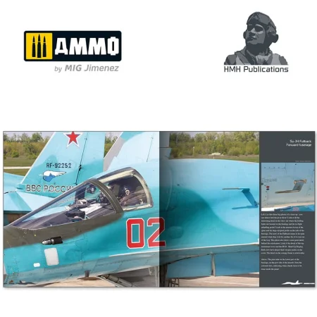 ammo-DH029-sukhoi-su-34-fullback (6).jpg