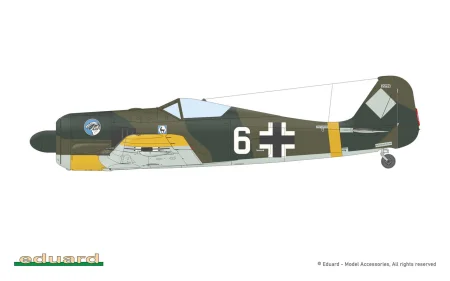 84205_COL_D.jpg