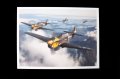 Eduard-R0023-P-40E-Warhawk-Royal-Class-Edition-Dual-Combo (36).jpg