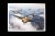 Eduard-R0023-P-40E-Warhawk-Royal-Class-Edition-Dual-Combo (36).jpg