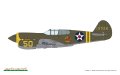 Eduard-R0023-P-40E-Warhawk-Royal-Class-Edition-Dual-Combo (48).jpg