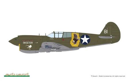 Eduard-R0023-P-40E-Warhawk-Royal-Class-Edition-Dual-Combo (51).jpg