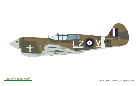 Eduard-R0023-P-40E-Warhawk-Royal-Class-Edition-Dual-Combo (56).jpg