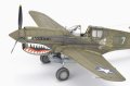 Eduard-R0023-P-40E-Warhawk-Royal-Class-Edition-Dual-Combo (29).jpg