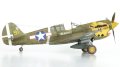 Eduard-R0023-P-40E-Warhawk-Royal-Class-Edition-Dual-Combo (31).JPG