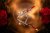 harder-and-steenbeck-infinty-crplus-2024-1.jpg