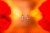 harder-and-steenbeck-infinty-crplus-2024-11.jpg