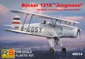 rs-48014-bucker-jungmann-131a (1).jpg