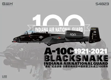 Gwh-S4823-A-10C-Thunderbolt-II-Blacksnake (1).jpg