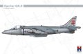 hobby-2000-48044-harrier-GR-9 (1).jpg