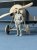 CSM-F32069 (2).jpg
