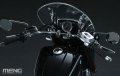 Meng-MT006S-BMW-R18 (5).jpg