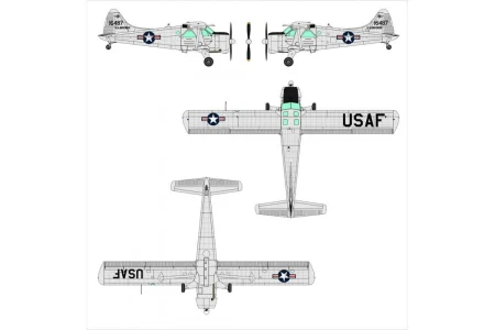 Dora-Wings-48059-Beaver (5).jpg