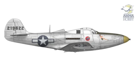 Arma-Hobby-70058-P-39-Airacobra-Reconnaissance (6).jpg