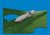 6481081_P-40 250lb Mk.1 British bomb_2.jpg