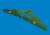 6481078_P-40 30lb frag bombs_2.jpg