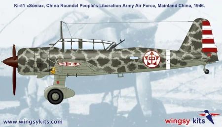 Wingsy-Kits-D5-06-Ki-51-Sonia (4).jpg