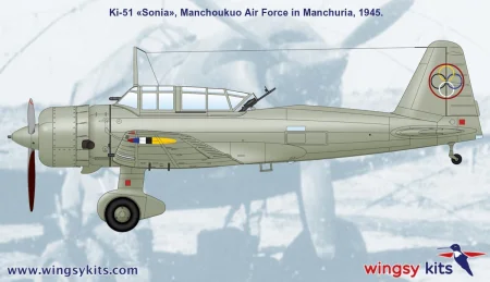 Wingsy-Kits-D5-06-Ki-51-Sonia (8).jpg