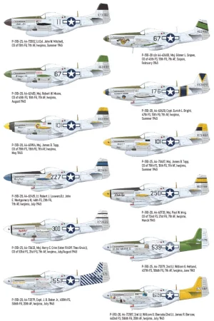 eduard-2152-P-51D-dual-combo-iwojima (17).jpg