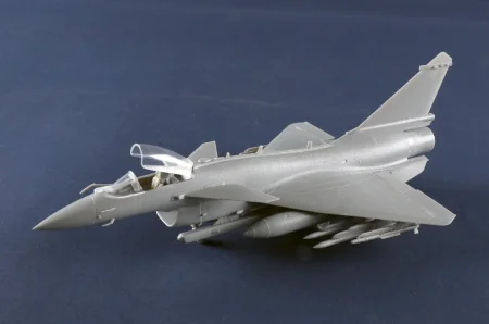 Trumpeter-01698 (7).jpg