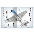 ammo-6532-solution-book-27-how-to-paint-metal-finished-aircraft (11).jpg