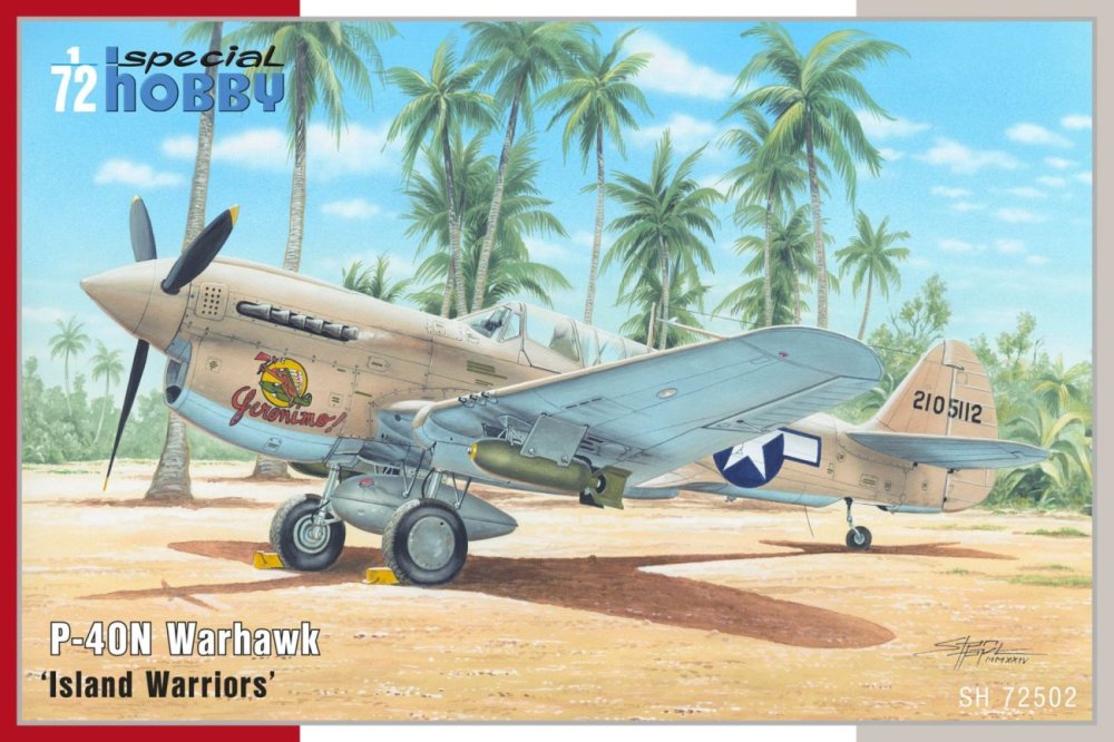 special-hobby-72502-p-40n-warhawk_result (1).jpg