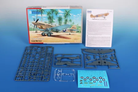 special-hobby-72502-p-40n-warhawk_result (3).jpg