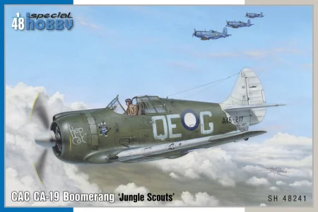 special-hobby-48241-cac-ca-19-boomerang (1).jpg