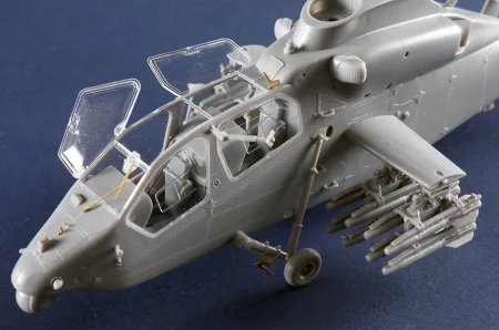 Trumpeter-05851 (5).jpg