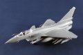 Trumpeter-01690 (9).jpg