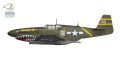 Arma-Hobby-70075-P-51B-Mustang-China-Burma-India (11).jpg