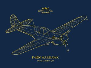 Eduard R0025 - 1:48 P-40N Warhawk - Royal Class Edition Dual Combo