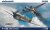 eduard-84207-p40E-Warhawk (1).jpg