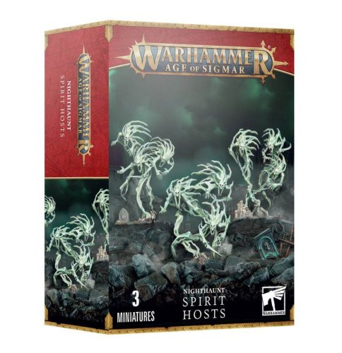 Go to product GW 93-08 Warhammer Age of Sigmar - Nighthaunt: Spirit Hosts