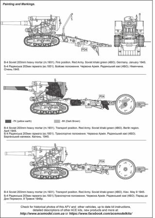 Ace-72599 (4).jpg