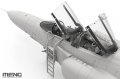 Meng-LS020-F-4E-2020-Terminator (8).jpg