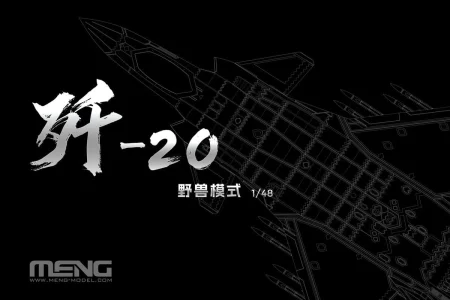 Meng-LS002S-J-20-Mighty-Dragon (1).jpg