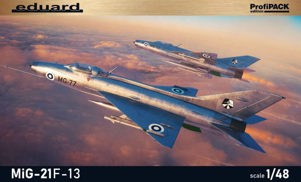 eduard-82191-mig-21-F-13 (1).jpg