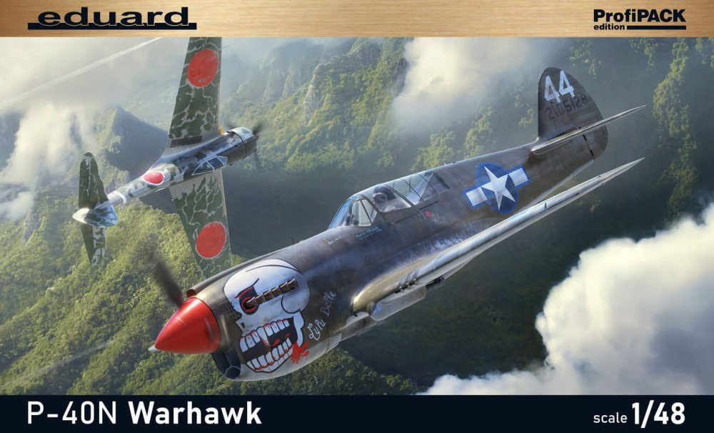 eduard-82242-p-40n-warhawk (1).jpg